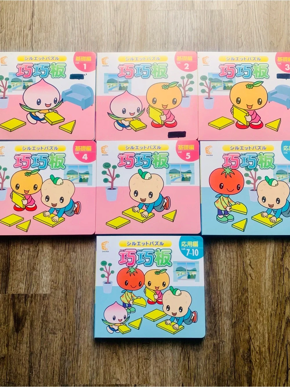 Shichida Silhouette Puzzle Cho Cho Ban concentration thinking skills creativity